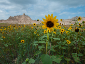 Badlands National Park