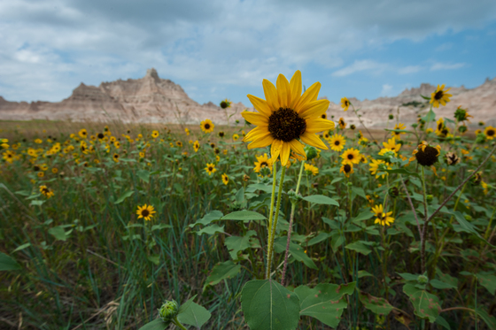 Badlands National Park