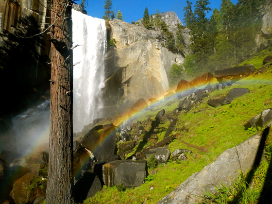 Yosemite National Park