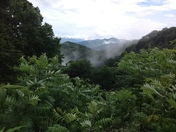The Smoky Mountains