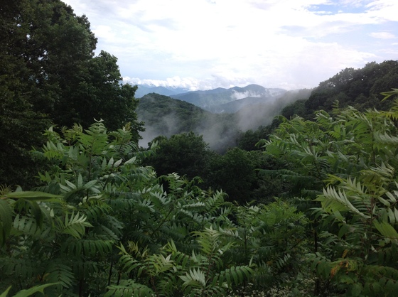 The Smoky Mountains