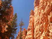 Bryce National Park, Utah