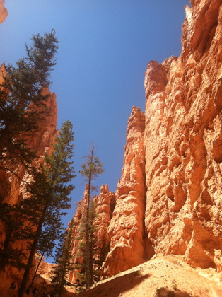 Bryce National Park, Utah