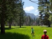Yosemite National Park