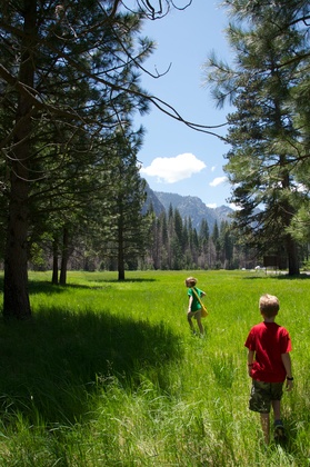 Yosemite National Park