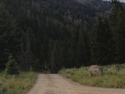 Sawtooth National Forest
