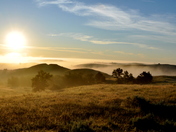 Theodore Roosevelt National Park