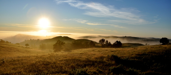 Theodore Roosevelt National Park