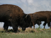 Badlands National Park