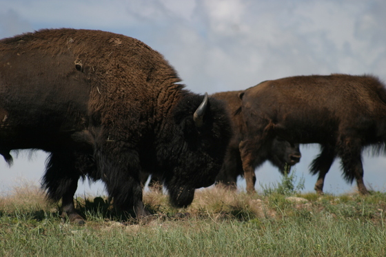 Badlands National Park