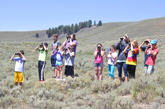 Yellowstone