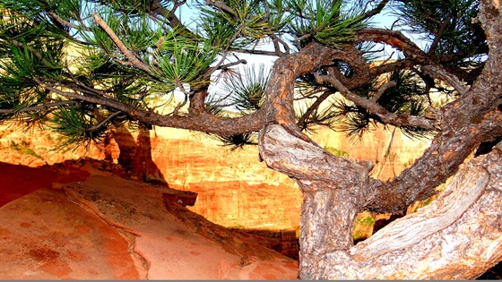 Zion National Park