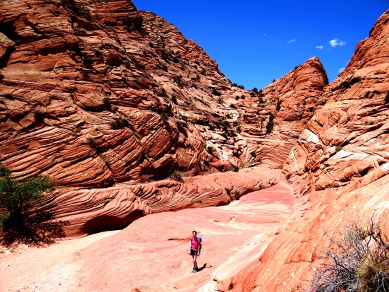 Paria Canyon (Wire Pass Slot Canyon)