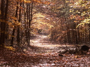 Patuxent Wildlife Research Refuge