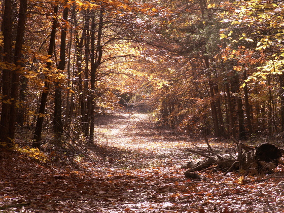 Patuxent Wildlife Research Refuge