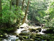 Smoky Mountains National Park