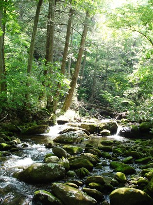 Smoky Mountains National Park
