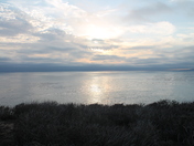 Dana Point Marine Wildlife Refuge
