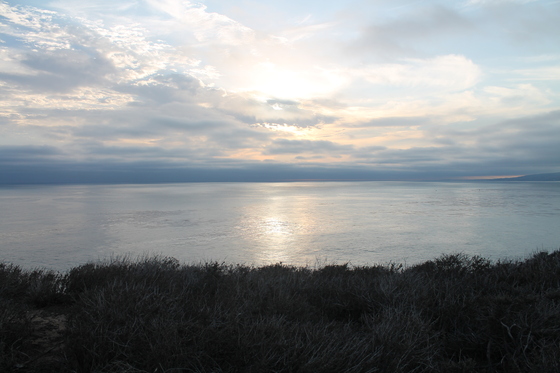 Dana Point Marine Wildlife Refuge