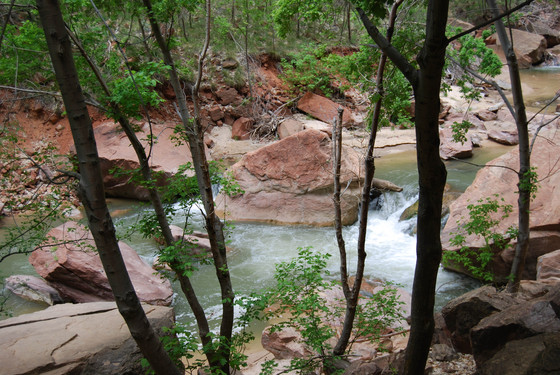 Zion National Park