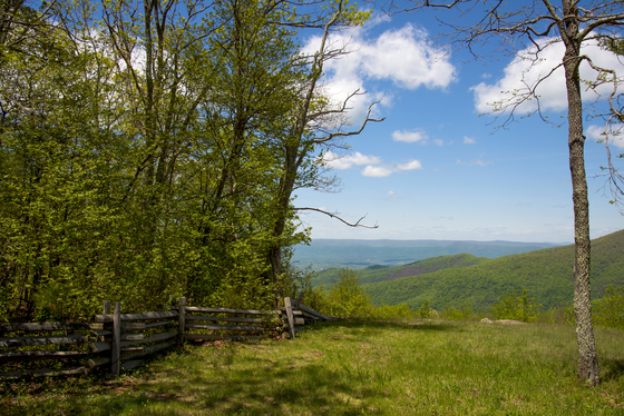 Shenandoah National Park