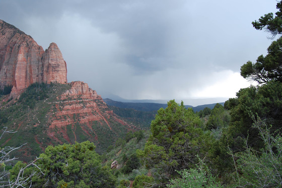 Zion National Park