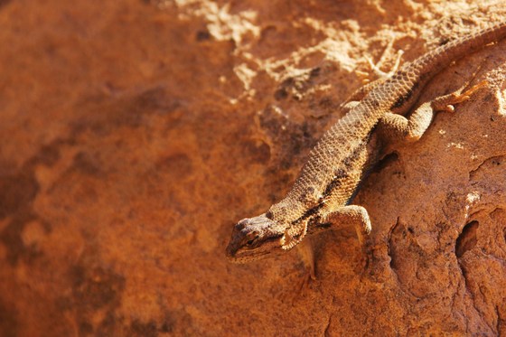 Canyonlands National Park