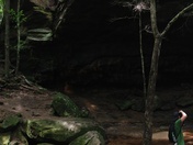 Bankhead National Forest