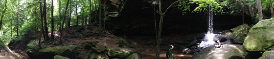 Bankhead National Forest