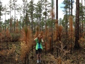 Conecuh National Forest