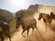 supai falls grand canyon 