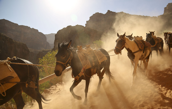 supai falls grand canyon 