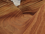 the wave 
