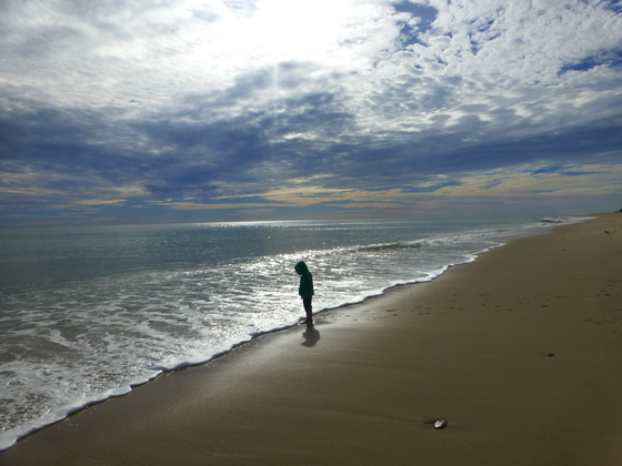 Cape Cod National Seashore