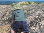 Acadia