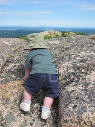 Acadia