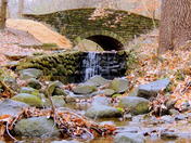 Rock Creek Park