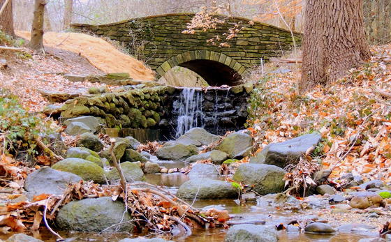 Rock Creek Park