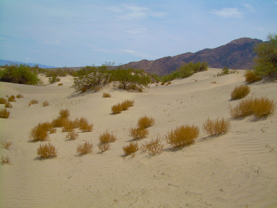 Death Valley National Park 