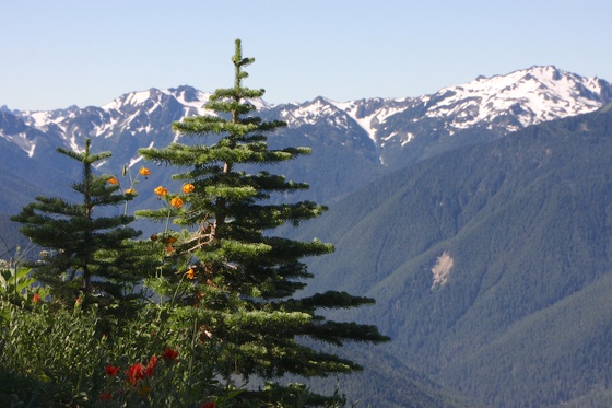 Olympic National Park