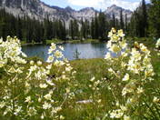 Sawtooth Wilderness