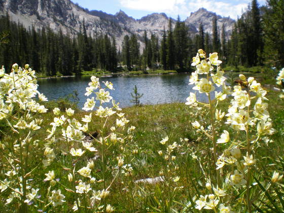 Sawtooth Wilderness