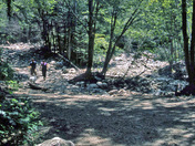 Green Mountain National Forest