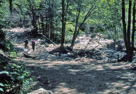 Green Mountain National Forest