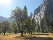 Yosemite National Park