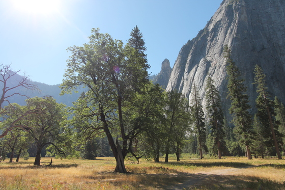 Yosemite National Park