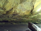 Wayne National Forest