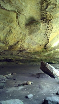 Wayne National Forest