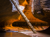 Zion National Park