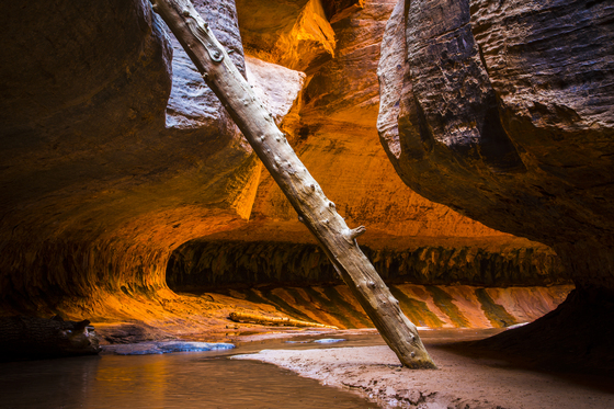 Zion National Park